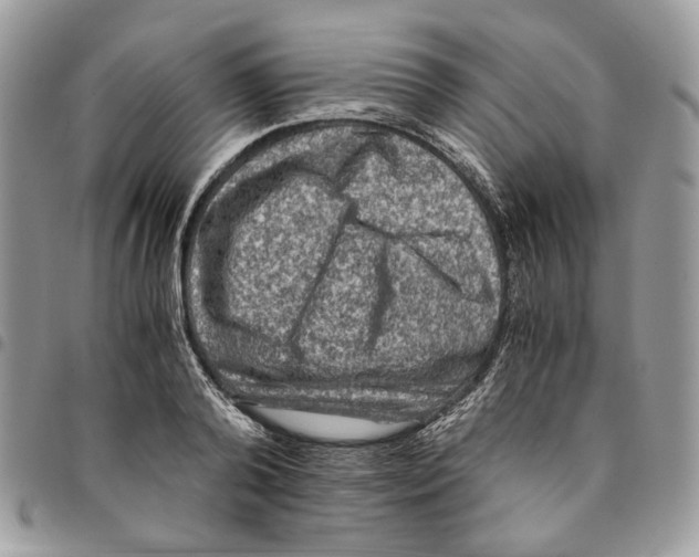 X0000094950792200712271656