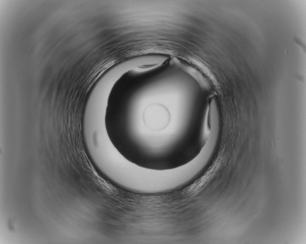 X0000094950793200712271656