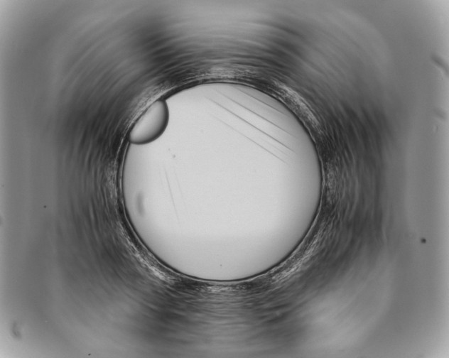 X0000094950794200712271656