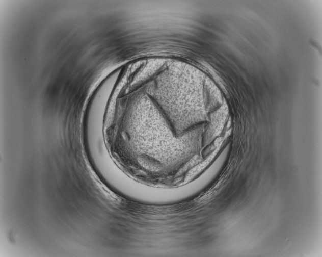 X0000094950795200712271656