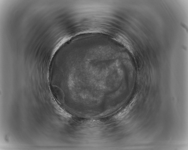 X0000094950797200712271656