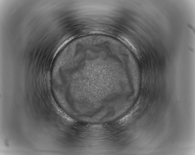 X0000094950798200712271656