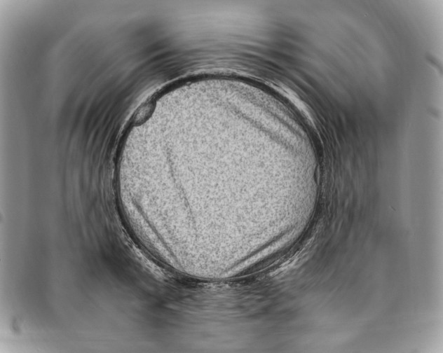 X0000094950799200712271656