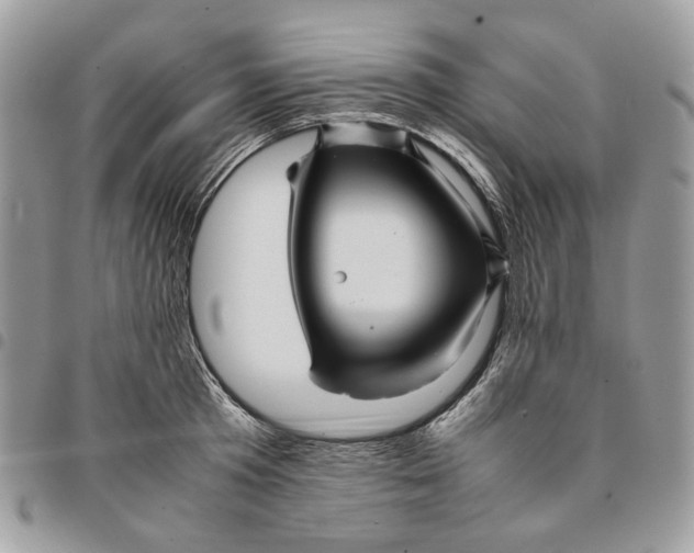 X0000094950801200712271656