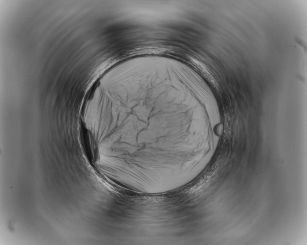 X0000094950802200712271656