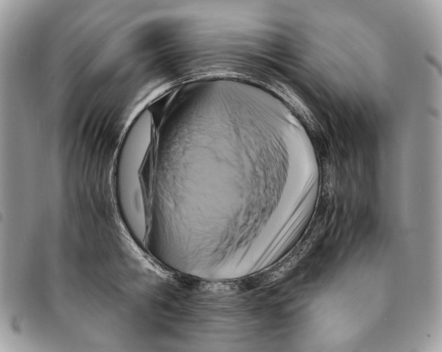 X0000094950806200712271656