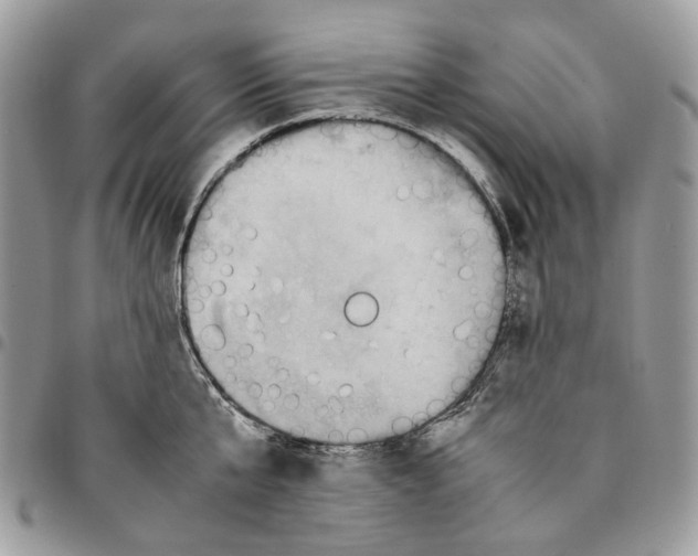 X0000094950807200712271656