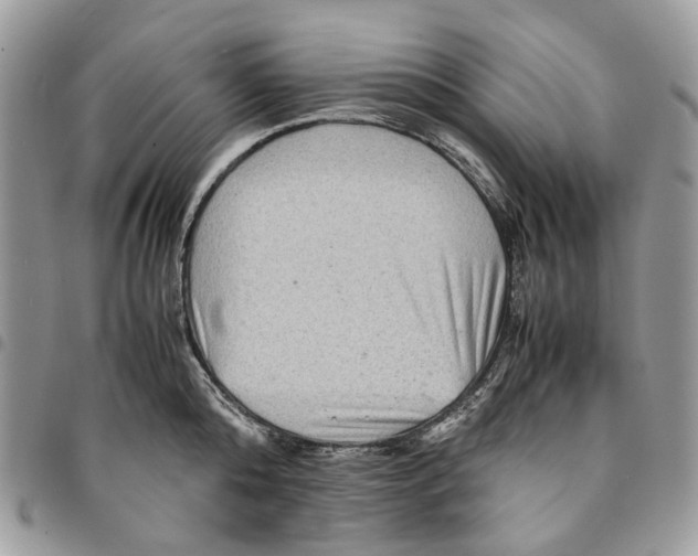 X0000094950808200712271656