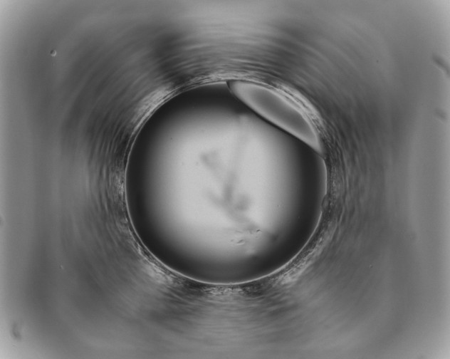 X0000094950809200712271656