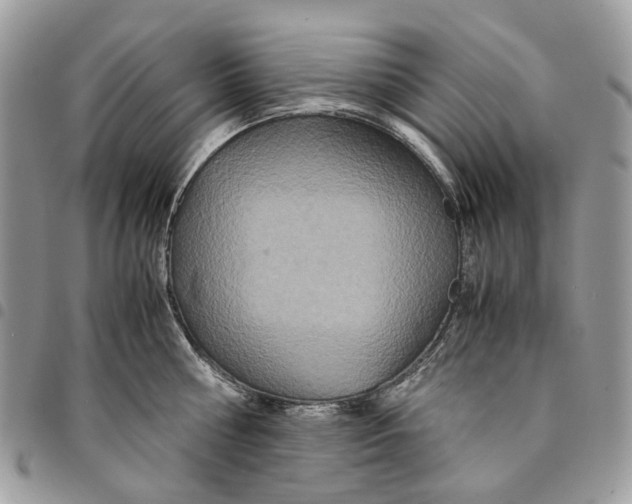 X0000094950810200712271656