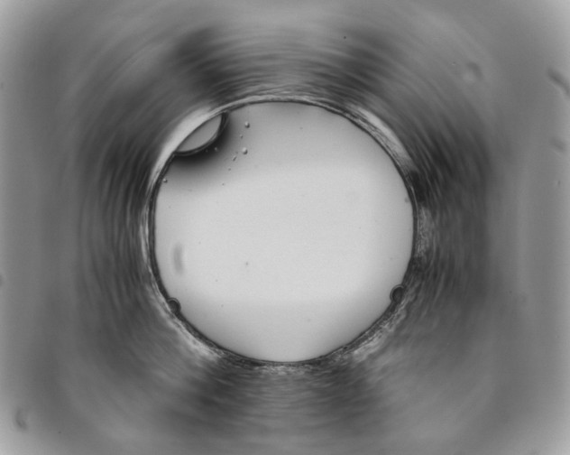 X0000094950812200712271656