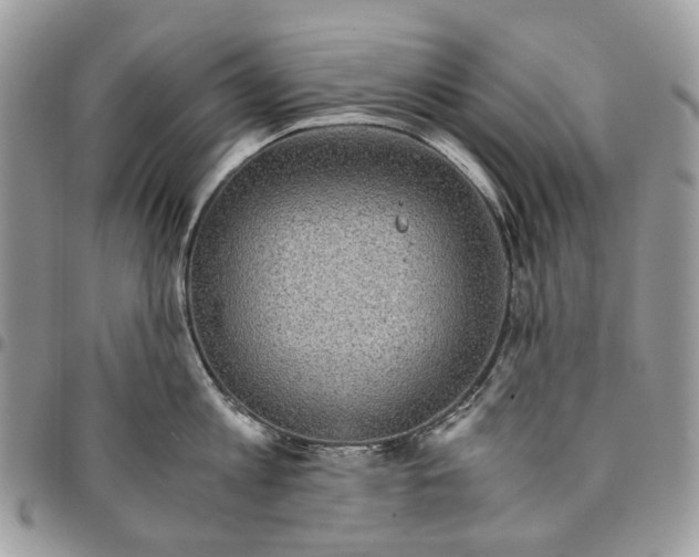 X0000094950813200712271656