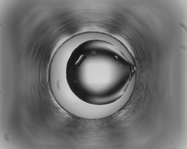 X0000094950815200712271656