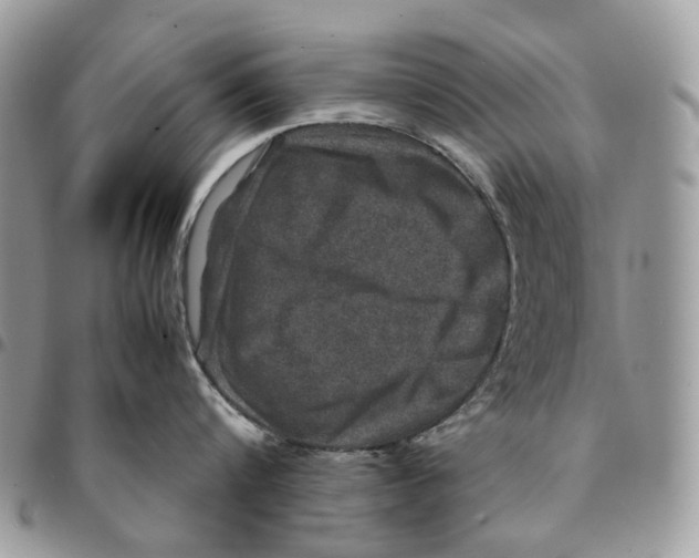 X0000094950816200712271656