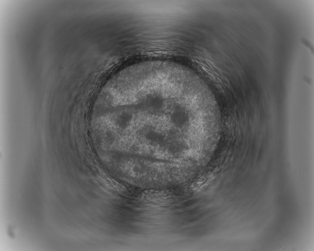 X0000094950817200712271655