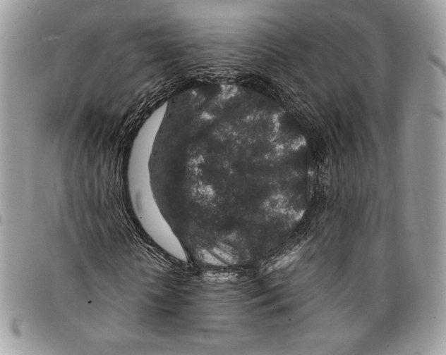 X0000094950818200712271655