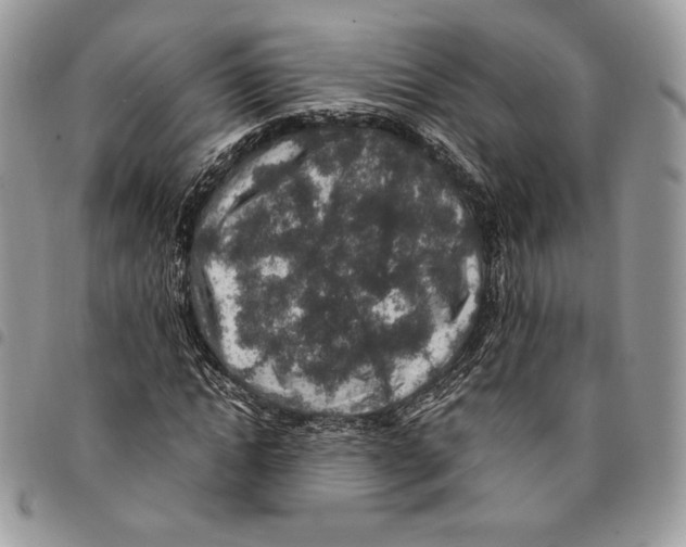 X0000094950822200712271655