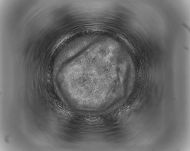 X0000094950823200712271655