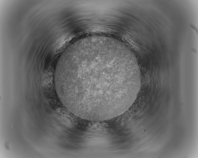 X0000094950824200712271655