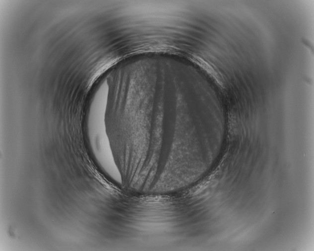 X0000094950826200712271655