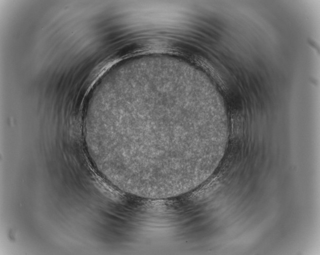 X0000094950828200712271655