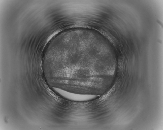 X0000094950830200712271655