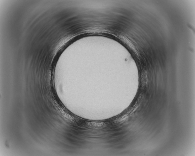 X0000094950831200712271655