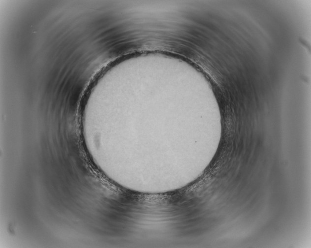 X0000094950832200712271655