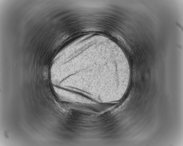 X0000094950833200712271655