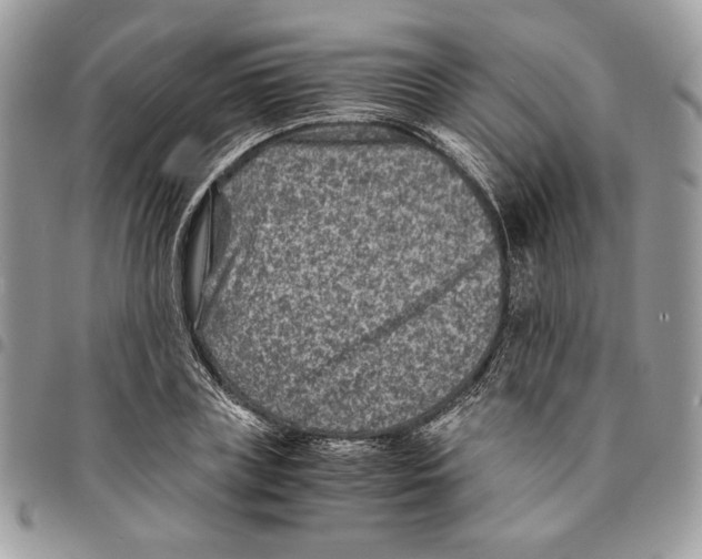 X0000094950835200712271655