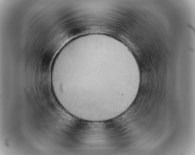 X0000094950836200712271655