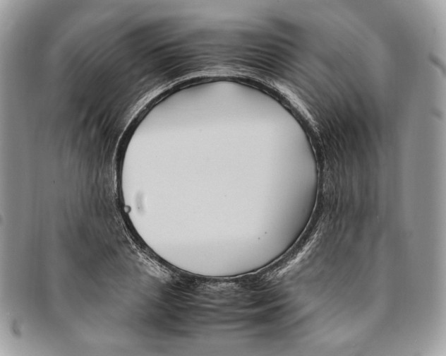 X0000094950837200712271655