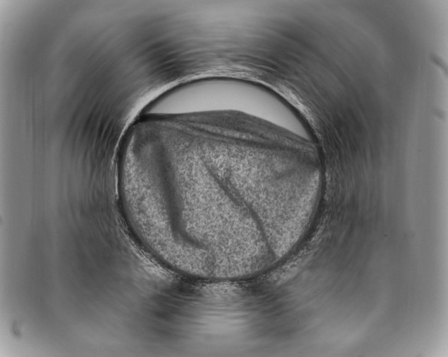 X0000094950838200712271655