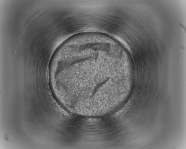 X0000094950839200712271655