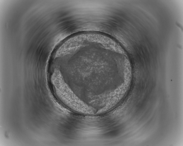 X0000094950840200712271655