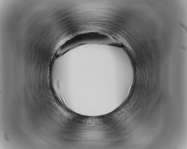 X0000094950842200712271655