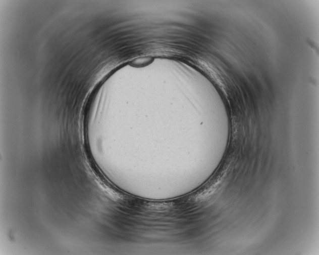 X0000094950843200712271655