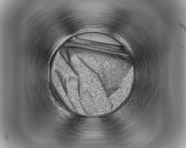 X0000094950844200712271655