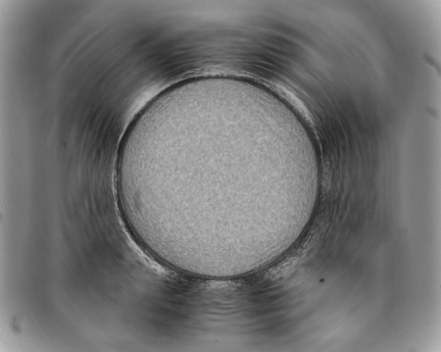 X0000094950847200712271656