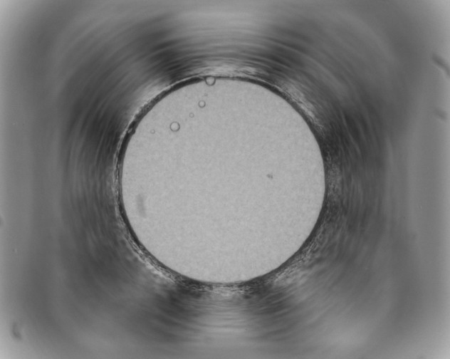 X0000094950848200712271656