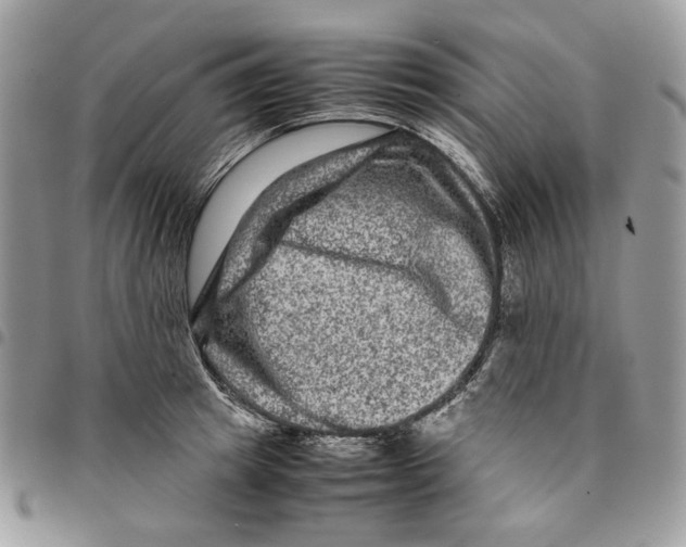 X0000094950849200712271656