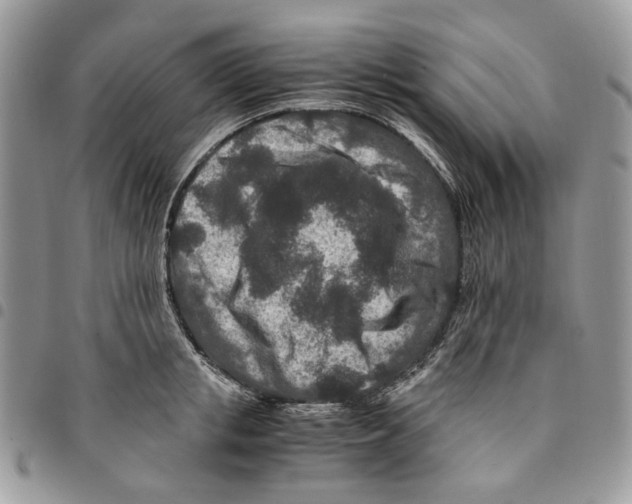 X0000094950853200712271656