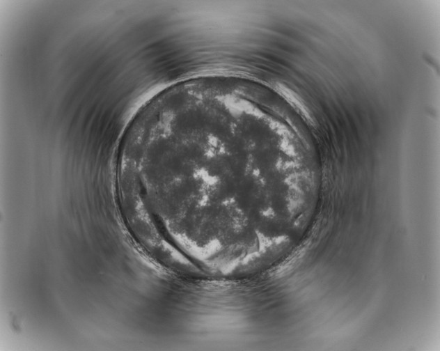 X0000094950854200712271656