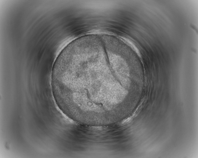 X0000094950855200712271656