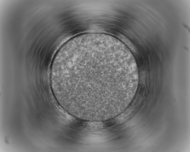 X0000094950856200712271656