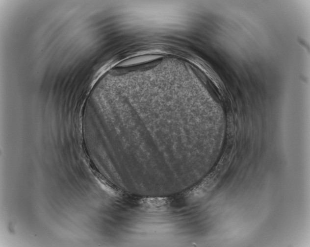 X0000094950858200712271656