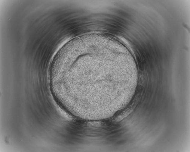 X0000094950859200712271656