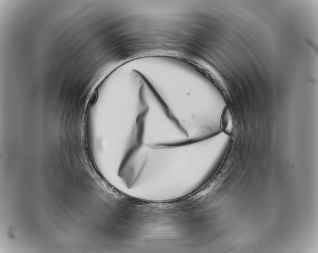 X0000094950860200712271656