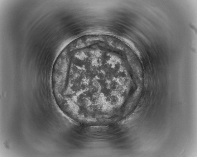 X0000094950863200712271656