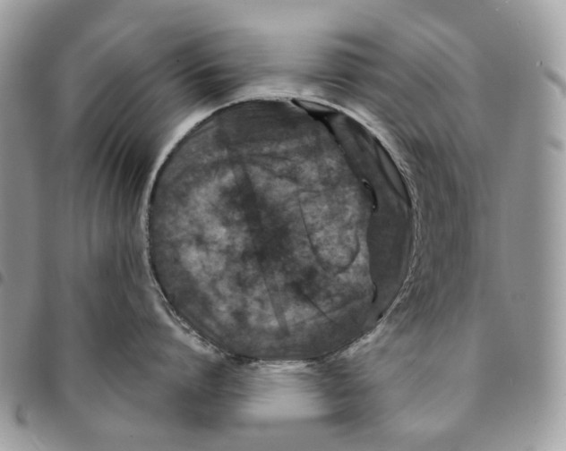 X0000094950864200712271656